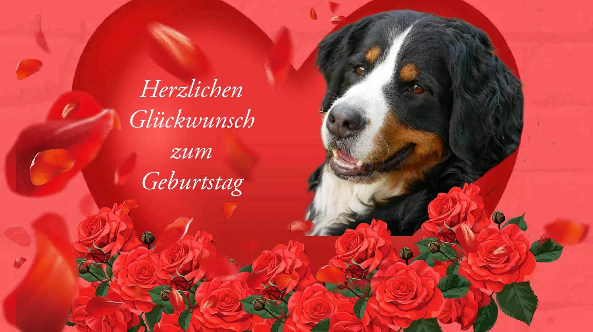 Herzlichen Glückwunsch Zum 4 Geburtstag